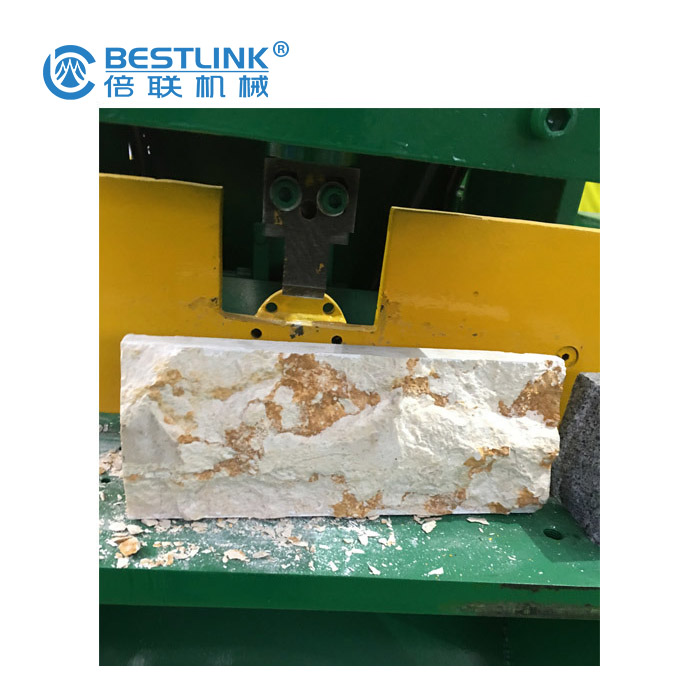 Bestlink Factory Máquina para fabricar superficies de hongos